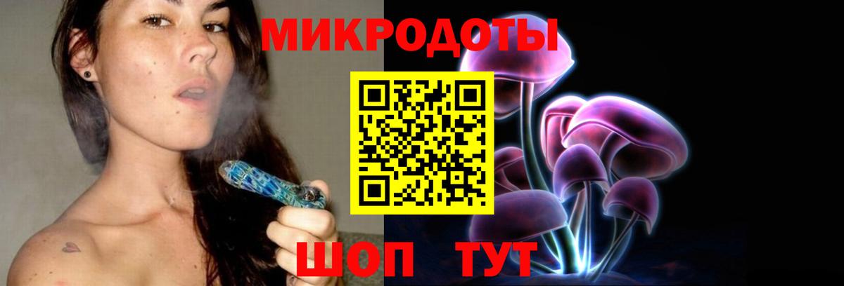 Фролово  Псилоцибиновые грибы Cubensis  Вход с VPN 